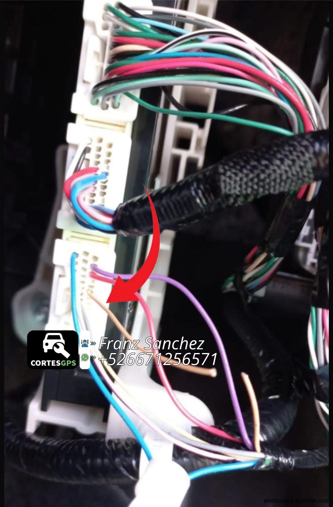 Paso 1: CORTE A LA BCM, CABLE MARRON, CORTE UBICADO TRAS L