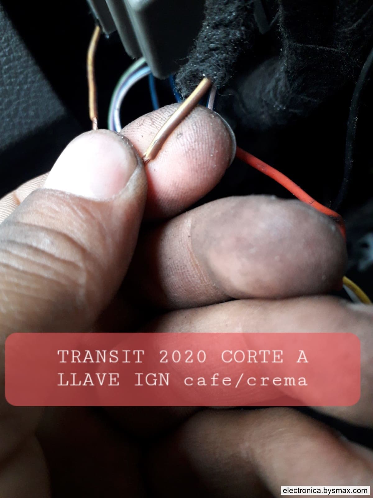 Paso 1: CORTE A IGNICION, CABLE COLOR CAFÉ CON FRANJA CREM