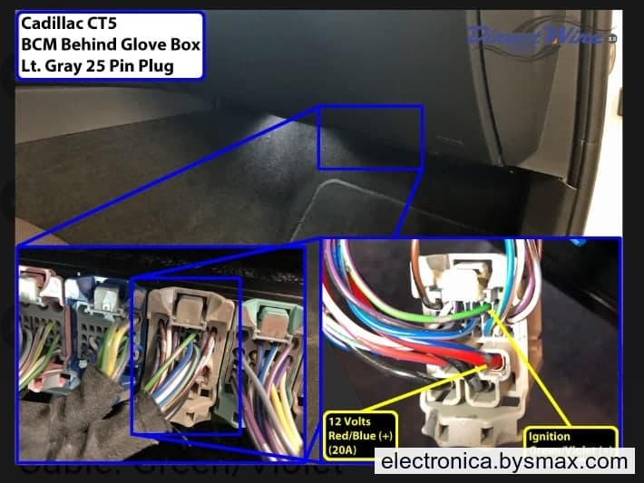 Paso 1: Corte a Ignición cable color Verde con Morado 