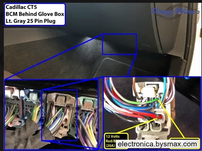 Paso 1: Corte a Ignición cable color Verde con Morado 