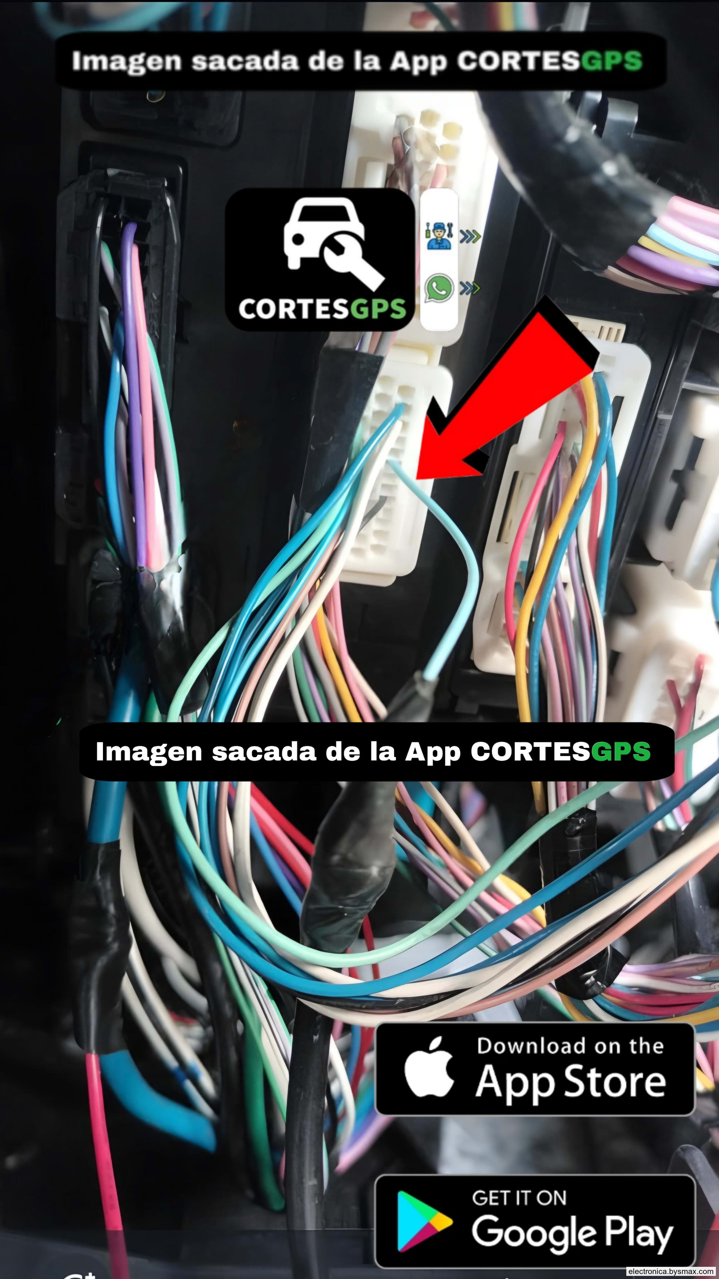 Paso 1: CORTE A LA BCM, CABLE COLOR CELESTE UBICADO EN LOS