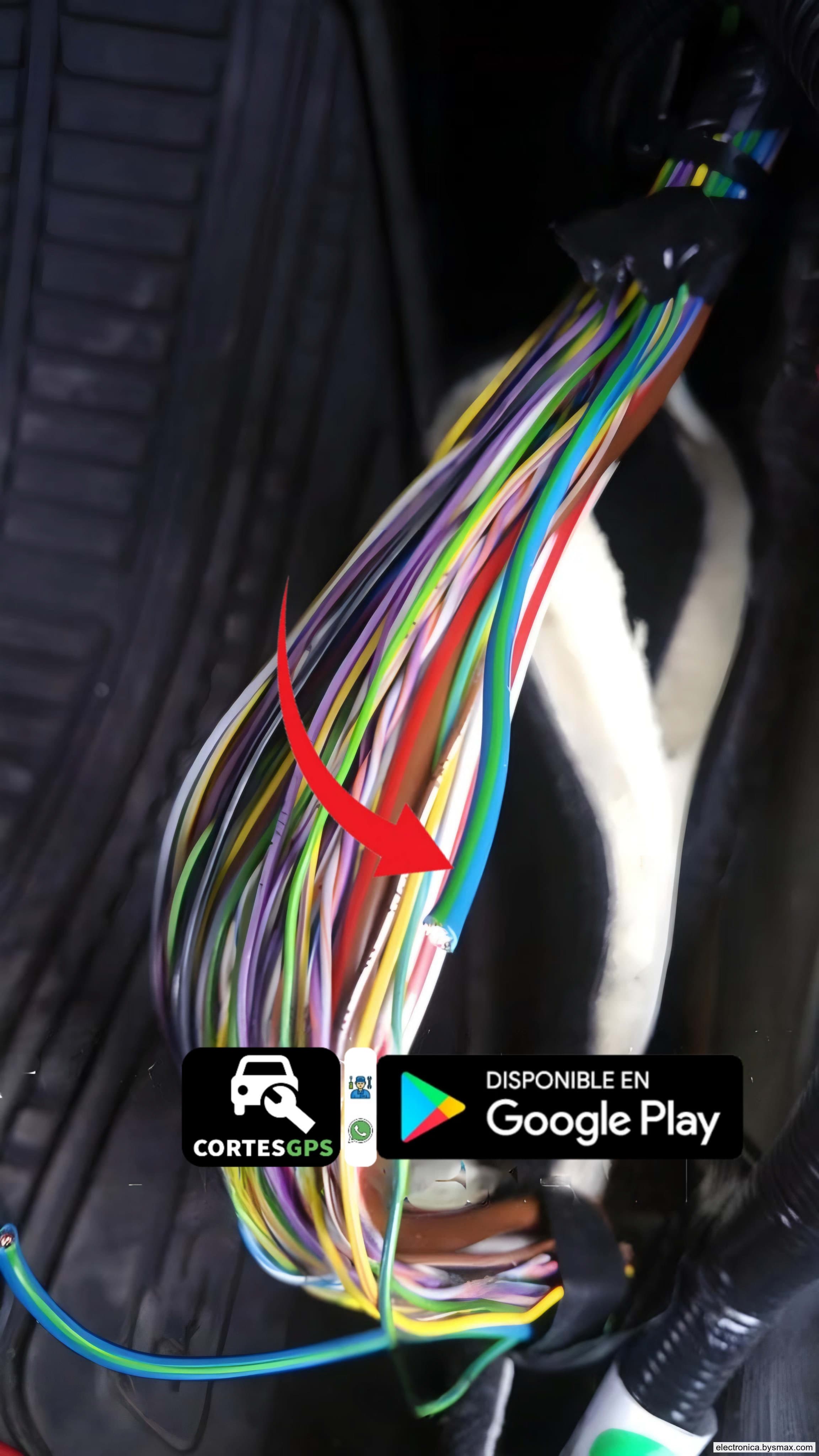 Paso 1: CORTE A LA BOMBA, CABLE COLOR AZUL CON FRANJA VERD