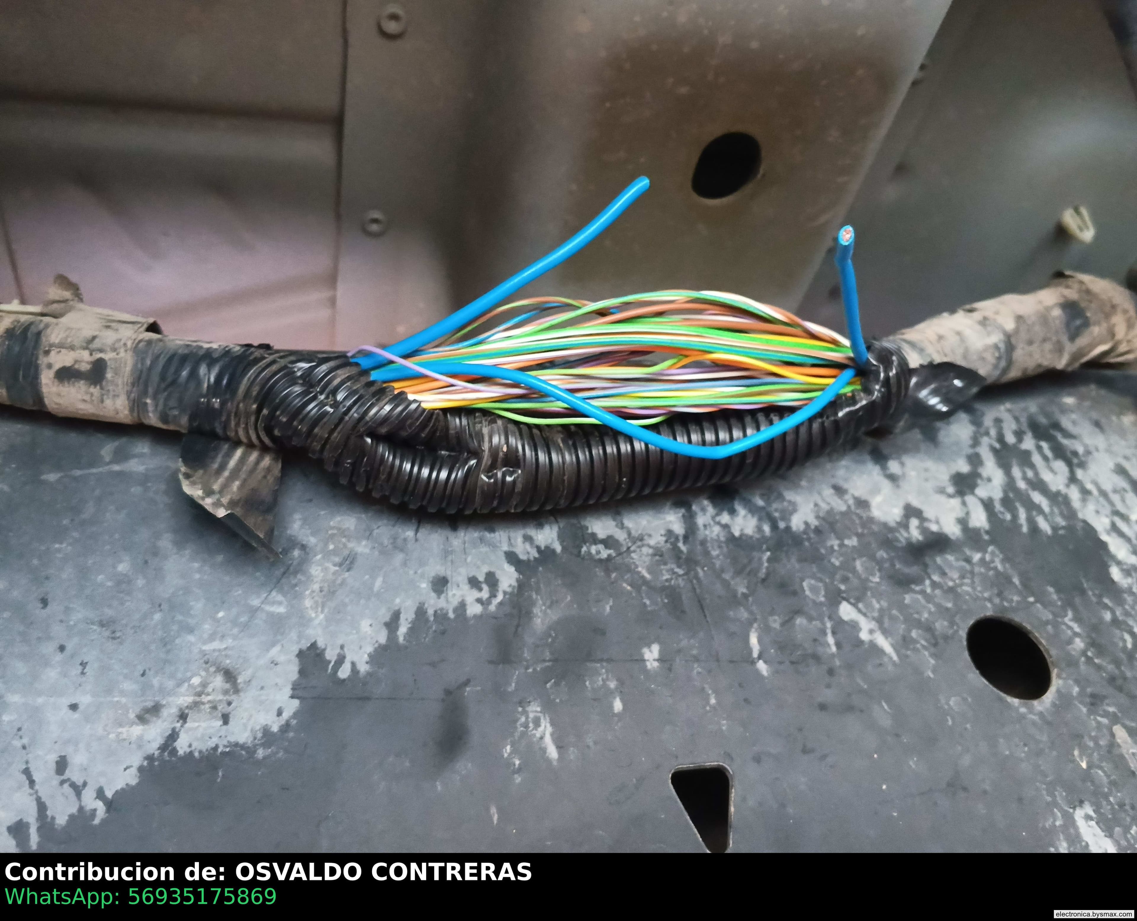 Paso 1: CORTE ALA BOMBA CABLE AZUL GRUESO  P
FORD F150PLA