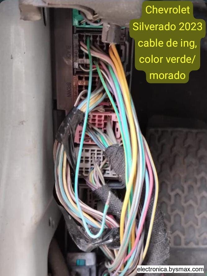 Paso 1: Color Verde / Morado